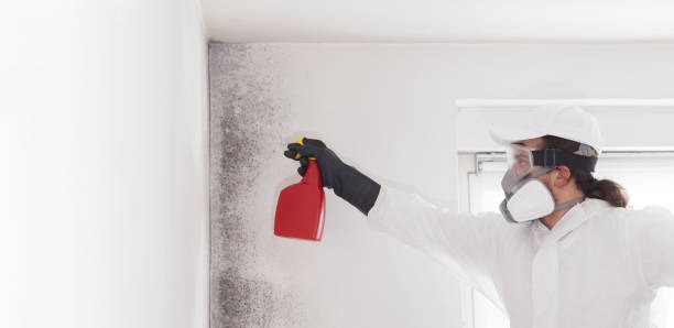 Best Crawl Space Mold Remediation in Creedmoor, NC
