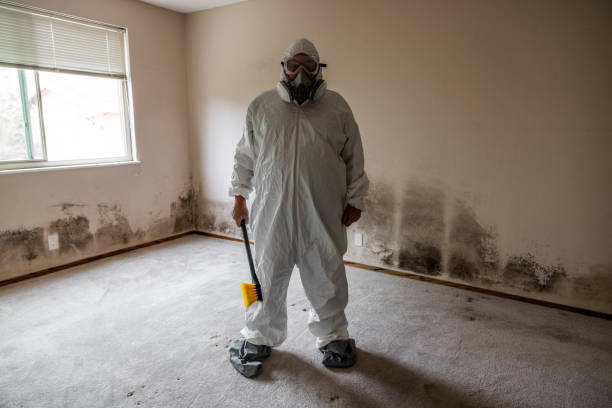 Best Residential Mold Remediation in Creedmoor, NC